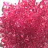 200 6mm Acrylic Faceted Bicone Fuchsia
